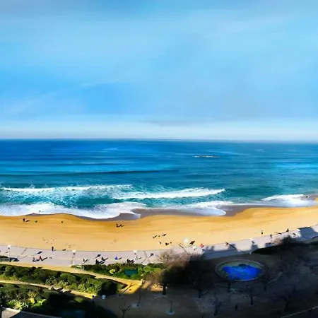 Victoria Surf ビアリッツ